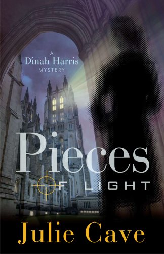 Pieces of Light Book Review