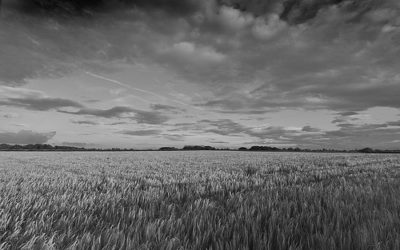 Seven Ways God Speaks To Us