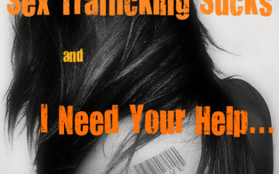 Sex Trafficking Sucks and I Need Your Help