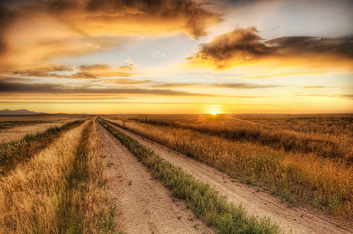 Making My Own Dirt Road